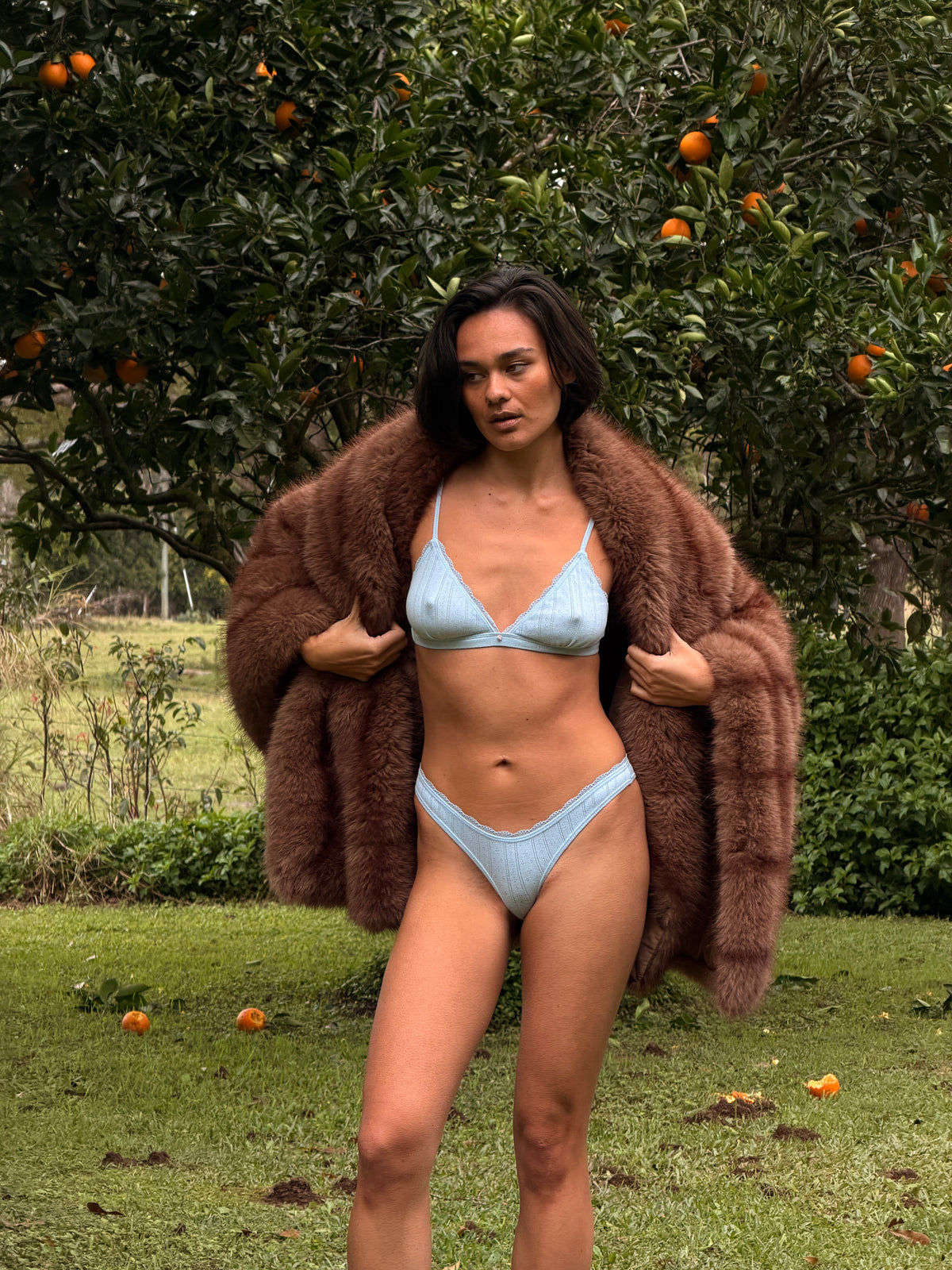 Bare Cotton Bra - Sky
